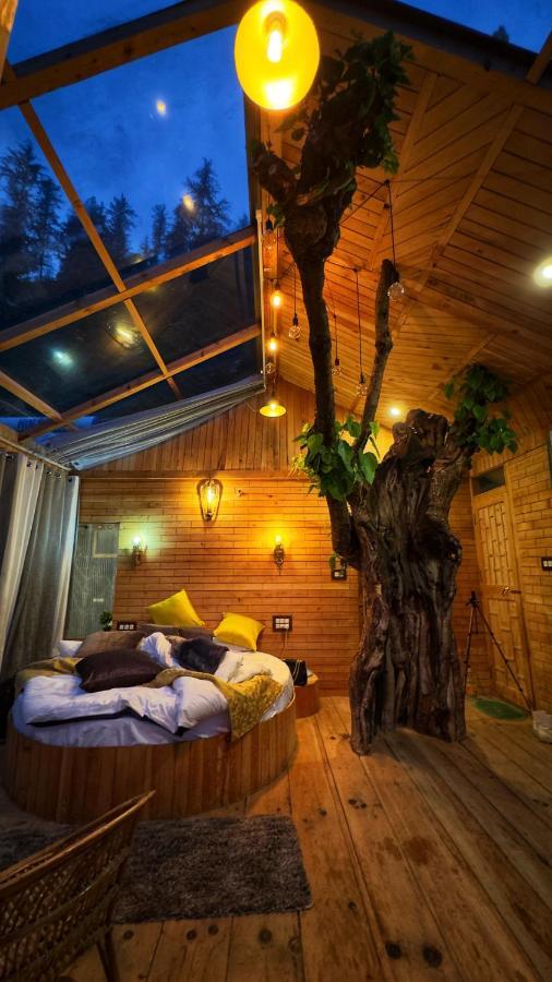 Cloudwalk Treehouse Villa Jibhi Dış mekan fotoğraf